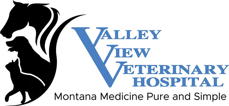 Valley View Veterinary Hospital Logo